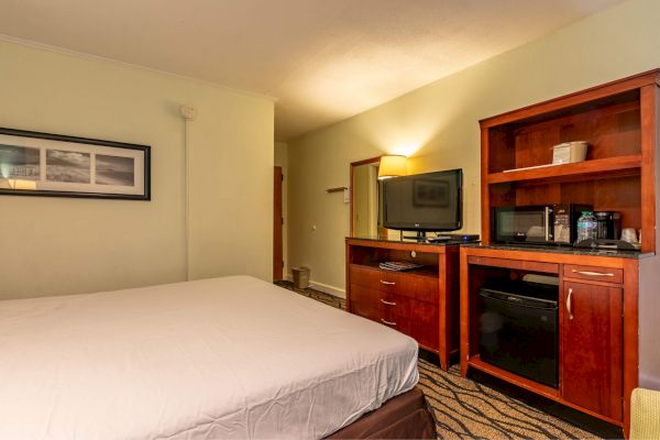 A hotel room with a bed, TV, microwave, coffee maker, and a framed picture on the wall.