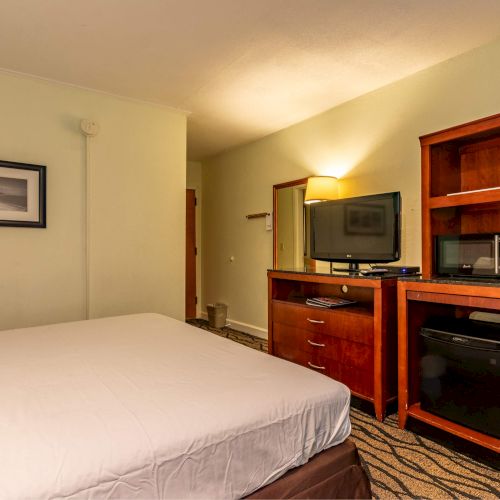 A hotel room with a bed, TV, microwave, coffee maker, and framed picture on the wall, featuring warm lighting and simple decor.