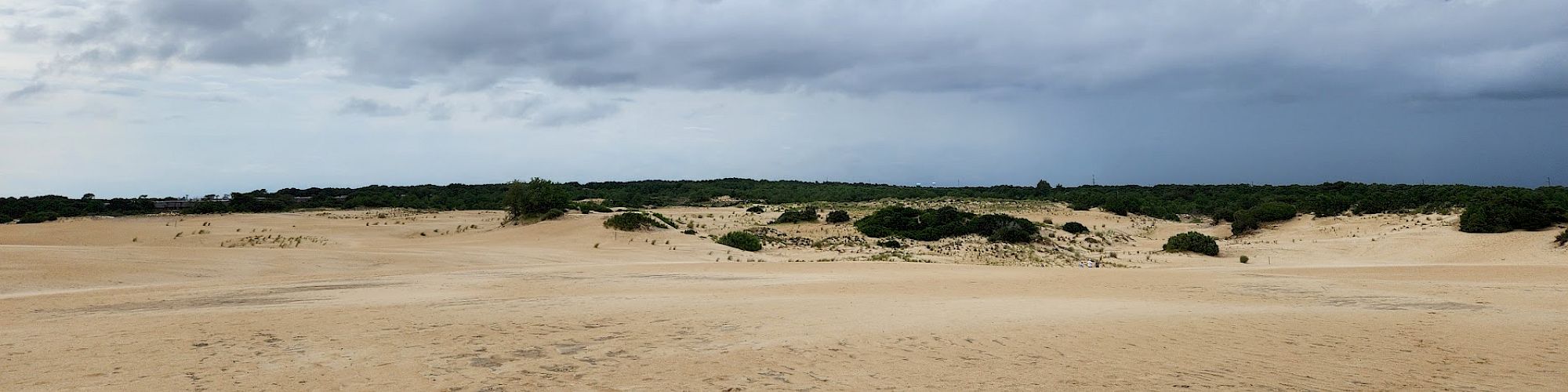 A vast sandy landscape under a cloudy sky, with patches of greenery visible in the distance.